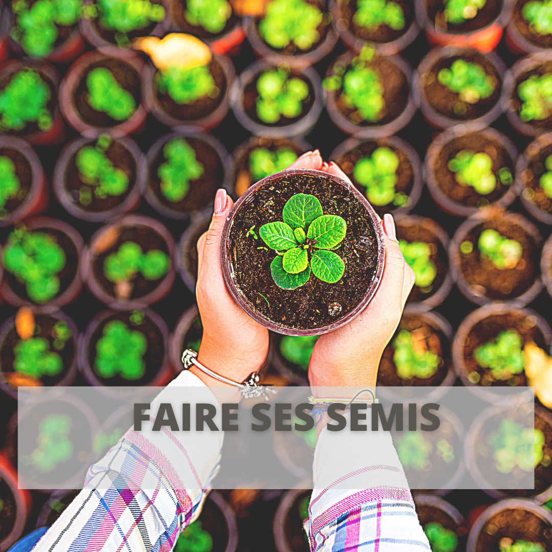 Parcours Formation | Faire ses semis | Plusieurs pots de semis