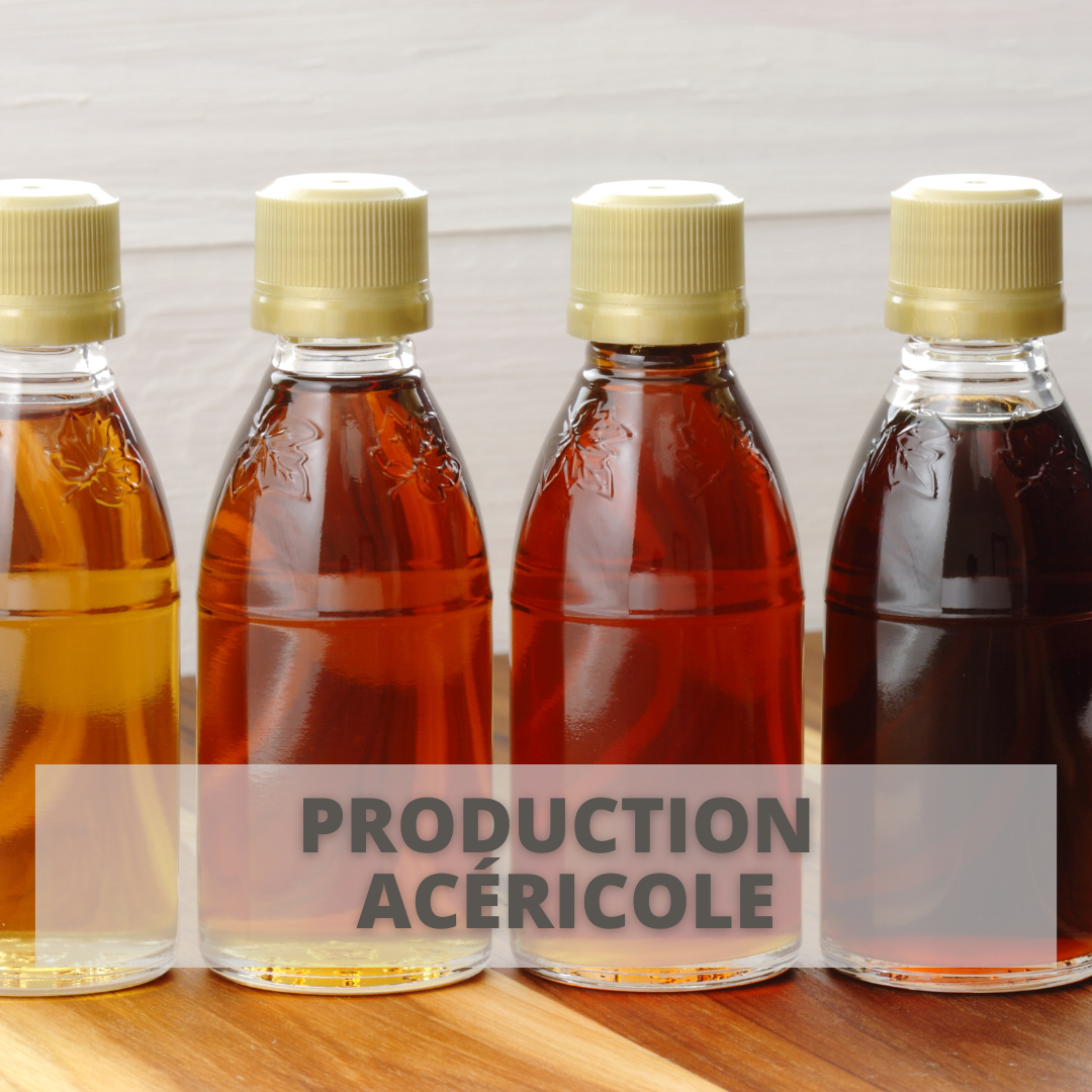 Parcours Formation | Production acéricole | Bouteilles de sirop d'érable