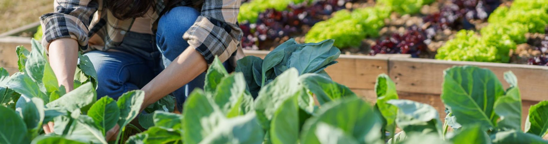 Agriculture, acériculture et horticulture